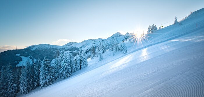 Shining sun over a groomed ski slope with snow-covered trees. | © 168飞艇开奖官网开奖历史结果记录 -幸运飞行艇体彩历史记录查询 ski amadé